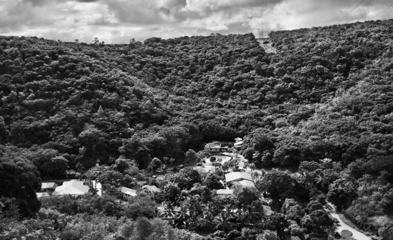 O dinheiro para a transição verde existe; o caminho, nem sempre